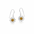 Daisy Duo Drops