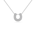 Lucky Horseshoe